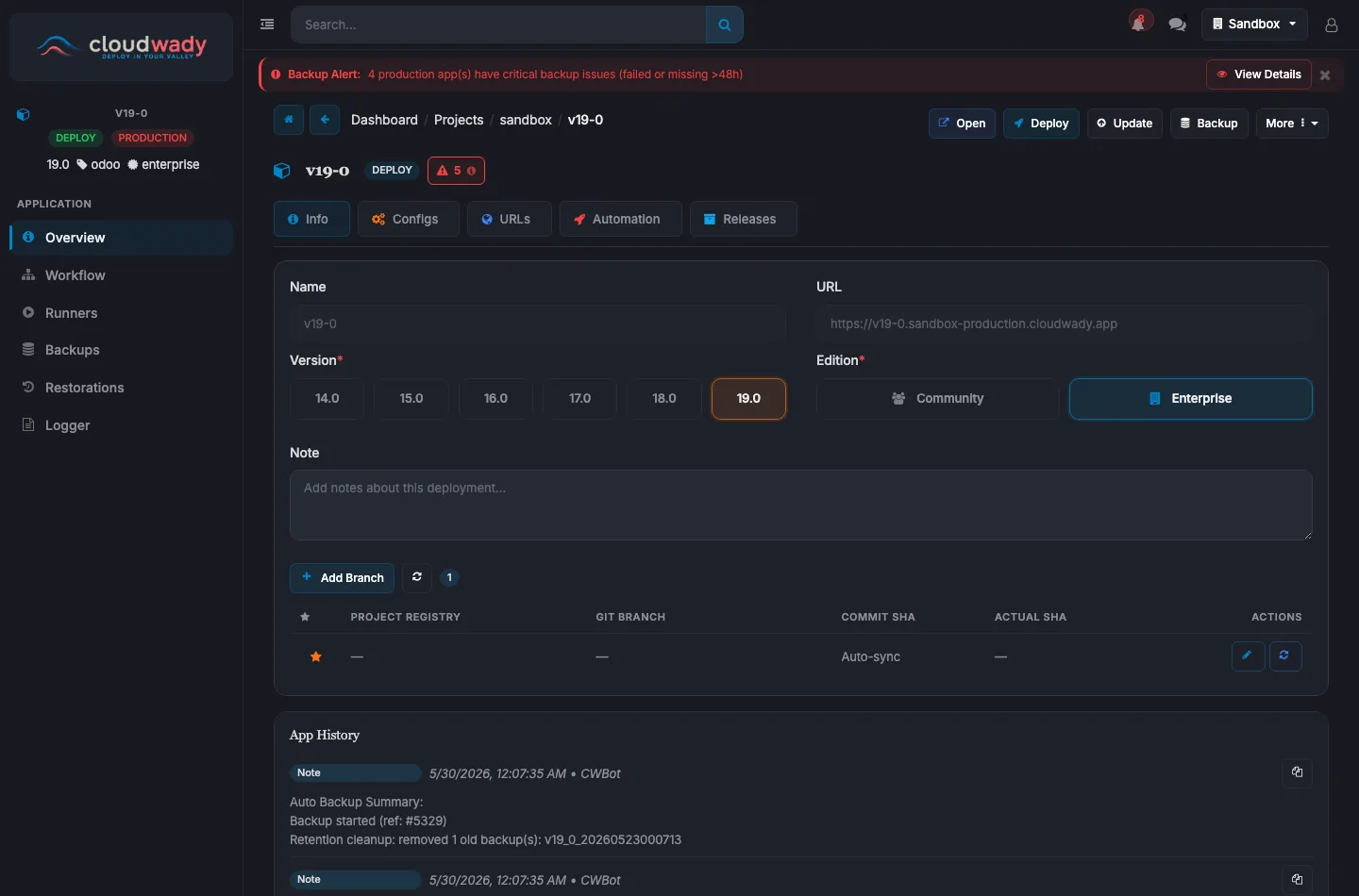 App screen — Info tab: name, URL, version, edition and the Git branch table